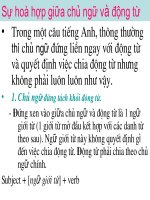 Sự hòa hợp giữa chủ ngũ và vị ngữ