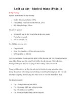 Giáo trình Loét dạ dày - hành tá tràng (Phần 1)