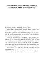 TÌNH HÌNH CHUNG VÀ CÁC ĐIỀU KIỆN KINH DOANH CỦA DOANH NGHIỆP TƯ NHÂN TIẾN TRƯỜNG