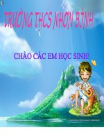 các loại rễ 3