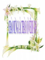 iet 11 - TO CHUC TT TRONG MT - Tiet 2