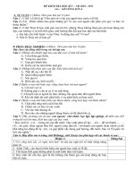 Đề KT kỳ I năm học 2010 - 2011