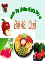 TNXH3 bai 48 Qua