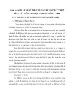 MẤY VẤN ĐỀ LÝ LUẬN THỰC TẾ CÁC DỰ ÁN PHÁT TRIỂN SẢN XUẤT NÔNG NGHIỆP   KINH TẾ NÔNG THÔN