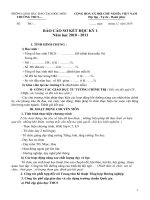 Mẫu báo cáo sơ kết HKI (2010 - 2011)