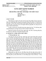sang kiến kinh nghiệm mẫu