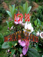 Tiết 37: Nói quá. GV: Vũ Thị Liên - Trường THCS Nguyễn Đức Cảnh