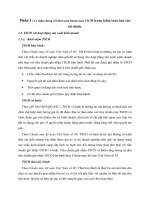 Lý luận chung về kiểm toán khoản mục TSCĐ trong kiểm toán báo cáo tài chính