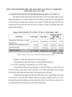 PHÂN TÍCH TÌNH HÌNH TIÊU THỤ HÀNG HÓA TẠI CÔNG TY TNHH THỰC PHẨM RAU QUẢ CẦN THƠ