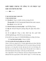 GIỚI THIỆU CHUNG VỀ CÔNG TY CỔ PHẦN VẬT LIỆU XÂY DỰNG HÀ NỘI