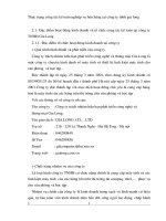 Thực trạng công tác kế toán nghiệp vụ bán hàng tại công ty tnhh gia long