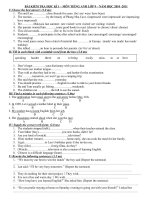 đề kt học kì 1 2010-2011