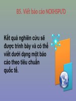 B5. Bao cao de tai nghien cuu (5.1)