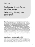 Configuring Ubuntu Server As a VPN Server