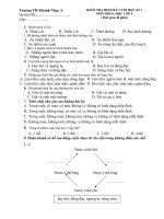 Đề kiểm tra học kì I 10-11