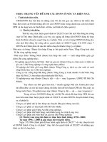 Thực trạng vấn đề CPH các DNNN ở nước ta hiện nay