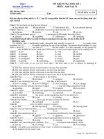 Đề ôn HK I Anh 11 số 7