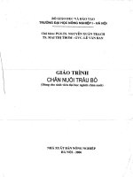 Giáo trình chăn nuôi trâu bò
