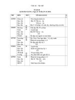 GIÁO ÁN TUẦN 10 LỚP 1( CKTKN)