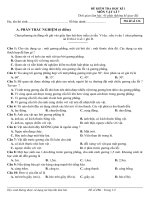 Đề KTHKI lý 7 tham khảo (2)
