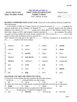 Đề mẫu HK I Anh 11_10