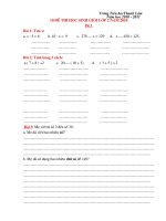 Đề thi HSG lớp 2