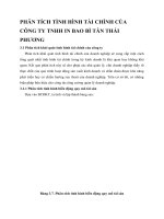 PHÂN TÍCH TÌNH HÌNH TÀI CHÍNH CỦA CÔNG TY TNHH IN BAO BÌ TÂN THÁI PHƯƠNG