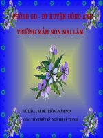 Hoạt động ở trường Mầm non