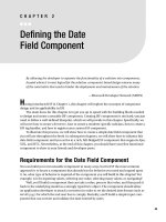 Defining the Date Field Component