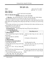 giáo án lớp 3-tuần 13-ckt2010