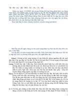 Kich ban chuong trinh ve dep doi vien