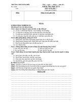 đề kiểm tra học kỳ I năm 2010 - 2011