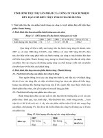 TÌNH HÌNH TIỆU THỤ SẢN PHẨM CỦA CÔNG TY TRÁCH NHIỆM HỮU HẠN CHẾ BIẾN THỰC PHẨM THANH HƯƠNG