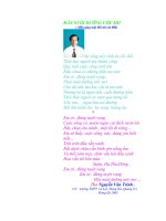 Hãy nuôi dưỡng ước mơ - Thơ NVT