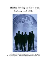 Phân biệt được lòng can đảm và sự phá hoại trong doanh nghiệp