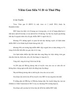 Giáo trình Viêm Gan Siêu Vi B và Thai Phụ