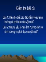 Bài 33: Một số phương pháp vải tạo và quản lí giống vật nuôi