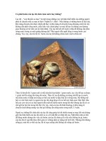 Có phải bướu lạt đà chứa toàn nước hay không