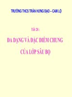 Đa dạng của lớp sâu bọ