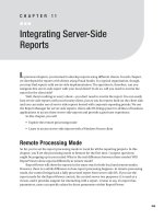 Integrating Server-Side Reports