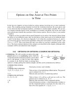 Currency Translated Options