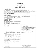 giao an lọp 5 - tuan 20 cktkn dep