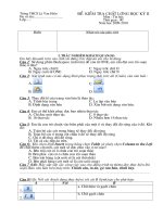 Đề thi học kỳ 2 lớp 6