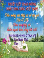 Bai 12 Hô hấp thực vật
