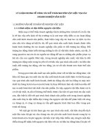 LÝ LUẬN CHUNG VỀ CÔNG TÁC KẾ TOÁN NGUYÊN VẬT LIỆU TẠI CÁC DOANH NGHIỆP SẢN XUẤT