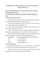 TÌNH HÌNH THỰC HIỆN LỢI NHUẬN TẠI  CÔNG TY TNHH VIỄN THÔNG KIM THUỶ