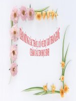 Tập đọc:Con sẻ