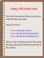 MÔ CƠ (Muscle Tissue)