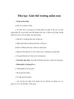 Thủ tục: Giải thể trường mầm non