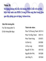 Liệu pháp gen sử dụng Adenovirus